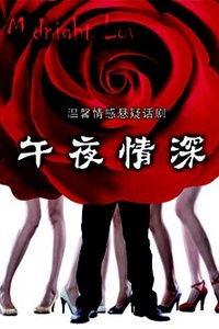 午夜情深在线观看,一场跨越时空的浪漫邂逅  第3张